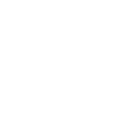 Electric plug icon with lightning bolt