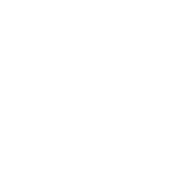 Network security icon: shield with checkmark